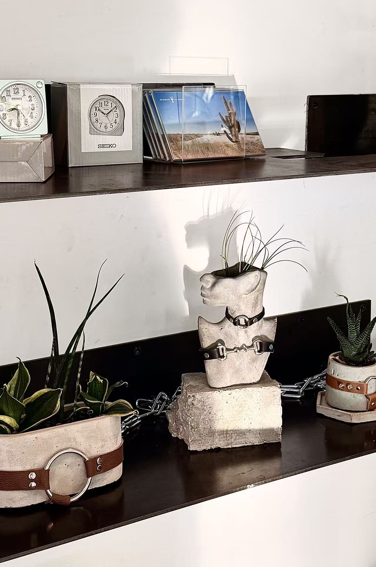 Clocks, plants and sculptural objects arranged on dark shelves