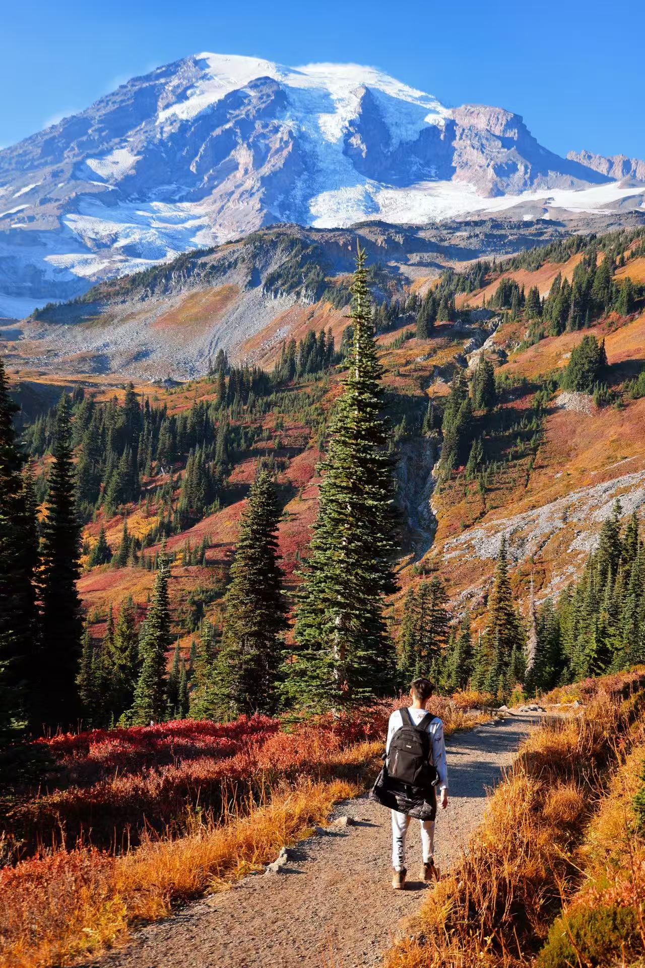 Hiker walking toward a snowy mountain through an autumn landscape
